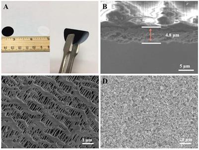 Energy-Saving Synthesis of Functional CoS2/rGO Interlayer With Enhanced Conversion Kinetics for High-Performance Lithium-Sulfur Batteries